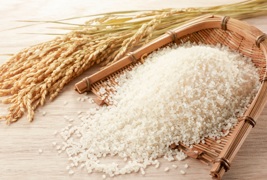 Rice Trading - Soft Commodities Trade